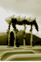 ad1037sepia-crop